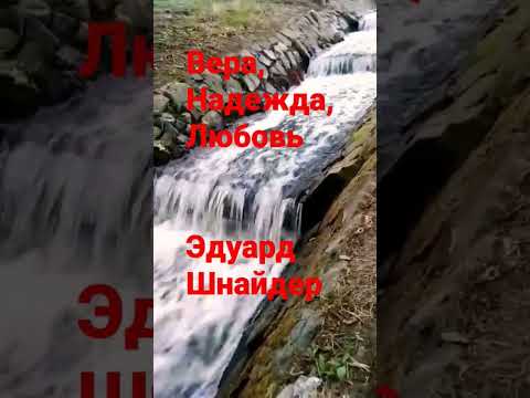 "Вера, Надежда, Любовь..." Эдуард Шнайдер. Книга "Зачем..." Читает: автор. #shortvideo