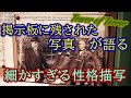 【東京ディズニーシー】掲示板に残された写真が語る「細かすぎる性格描写」とハイタワーの確固たる意思。
