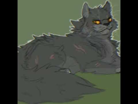 Щербатая эдит/коты-воители |Заказ/ - YouTube