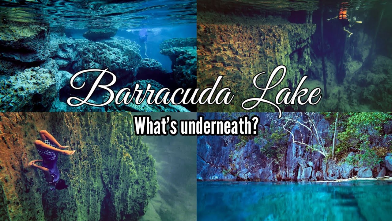 Coron, Palawan: Tour B Part 4 - Crystal Clear Barracuda Lake Underwater Virtual Tour 4k! April 2022