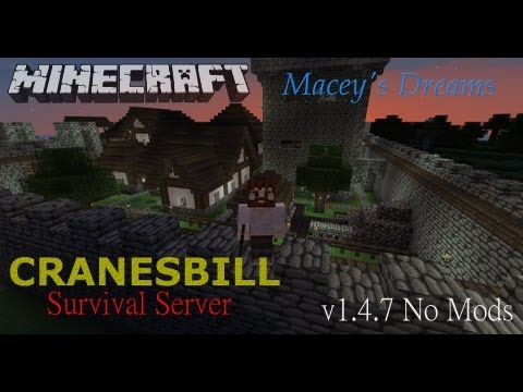 Minecraft - Medieval Town (SMP)