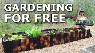 How to Build A RAISED BED Using FREE PALLETS, Gardening For CHEAP!