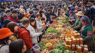 Tôi Người Vùng Cao