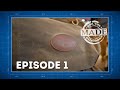 Made for the outdoors 2023 episode 1 frost river backpack