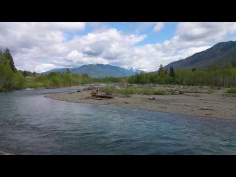 Video: Mattina Al Campo, Hoh River, Washington [cartolina] - Rete Matador