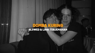 DOMBA KURING (Slowed & Reverb   Lirik Terjemahan) TikTok Songs 🎧