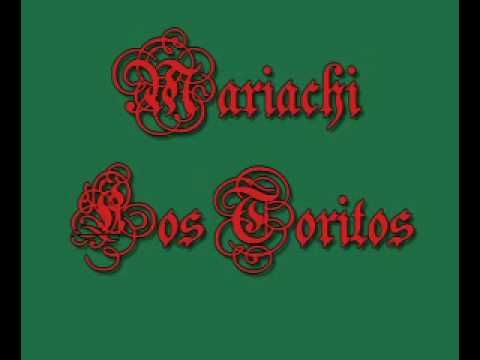 Mariachi Los Toritos   Amargo Adios