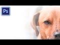 Photoshop tippek (#58.) - Gyorsmaszk és rétegmaszk