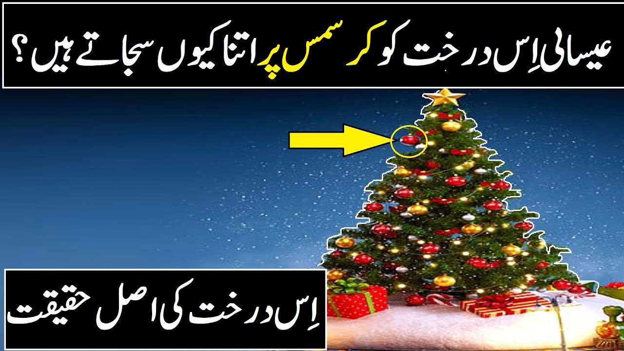 Why Christians decorate this tree in urdu ilm mania Reality Of Christmas Tree YouTube
