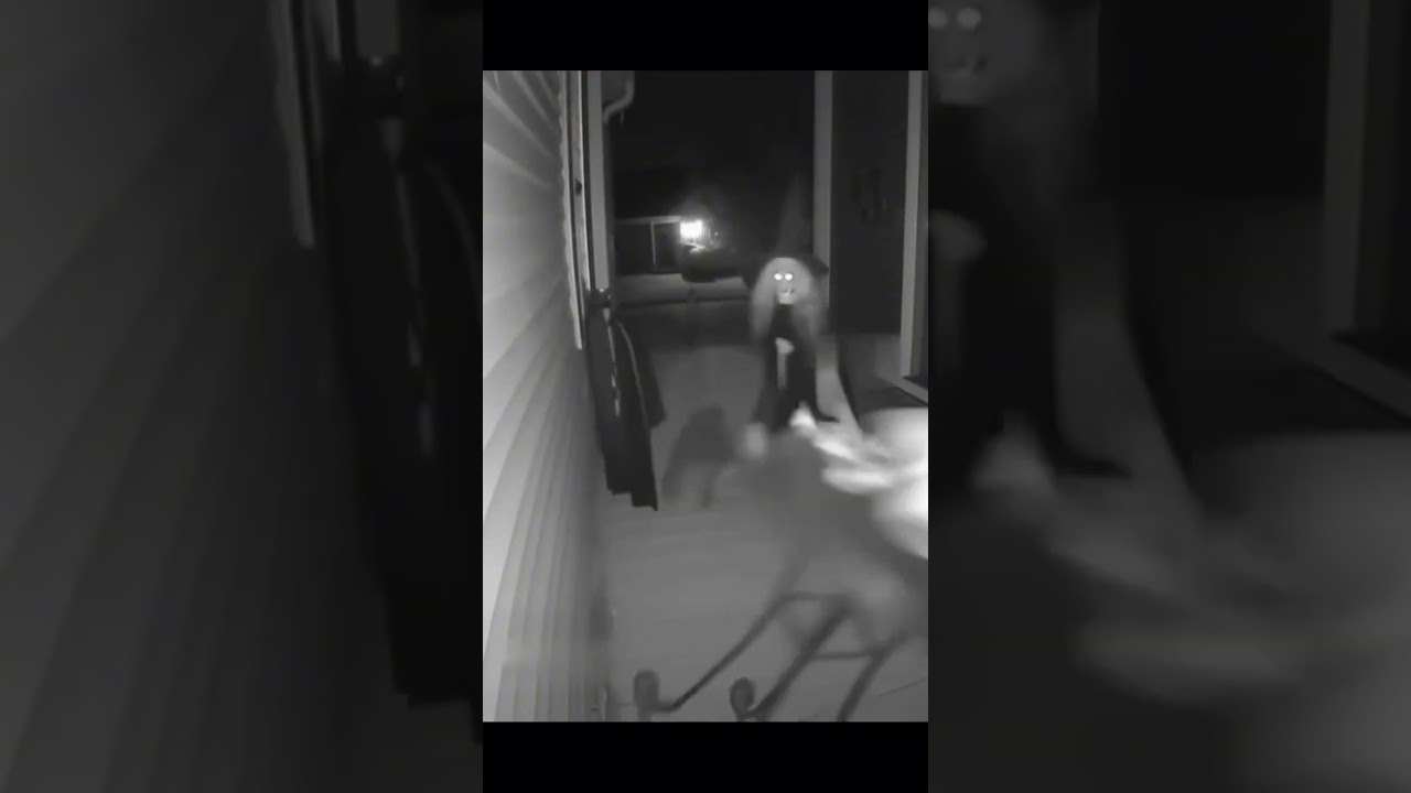 Nosey Raccoon Gets Spooked 