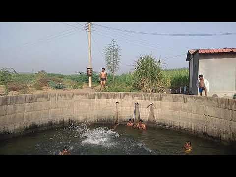 पोहणे