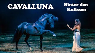 Hinter den Kulissen von CAVALLUNA - Legende der Wüste