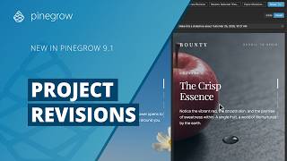 Project Revisions and Snapshots