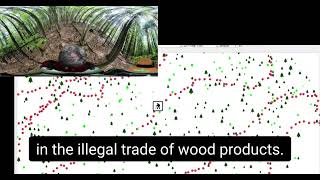 How Virtsilv is using AI to improve sustainable forest management