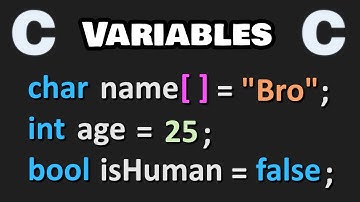 Learn C programming variables easy! ❎