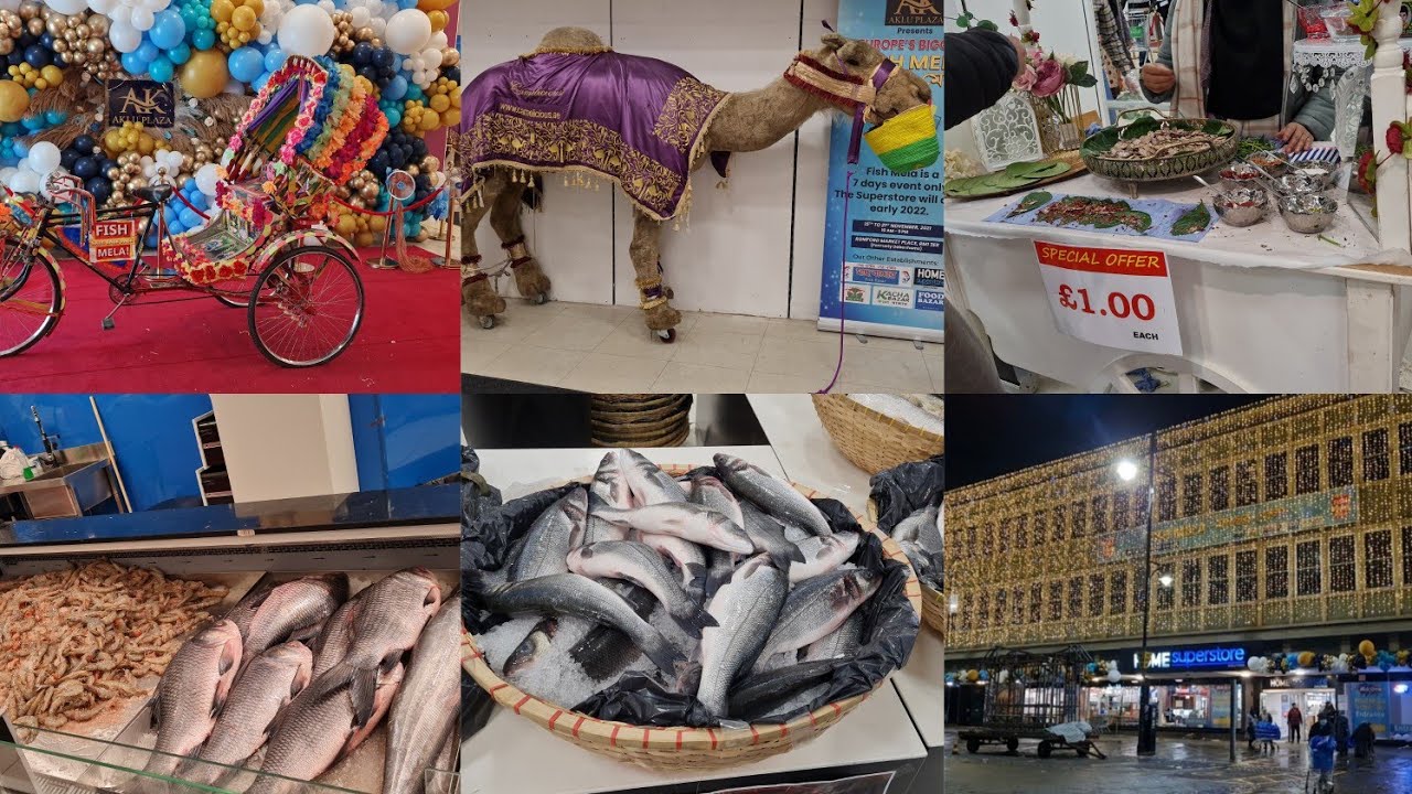 Aklu PlazaRomford Fish Mela 2021New Super Shop in EnglandAmayas Vlogs YouTube