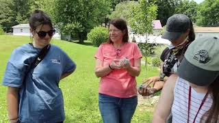In the Field with JF Therrien: American Kestrel Banding