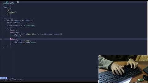 Golang Signal os Interrupt