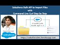 Salesforce Bulk API 2.0 to Import Files with Command Line Curl Step by Step