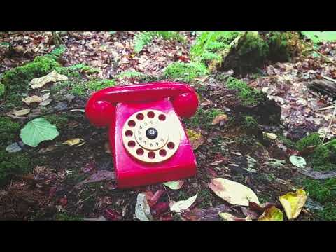 ｔｅｌｅｐｈｏｎｅ