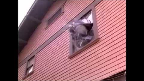 DeVry University Microwavable Dinner Total Recall