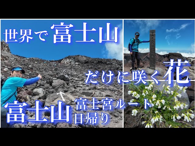 朝日富士 Mt. Fuji/Fujinomiya Route Day Trip] Going to see 