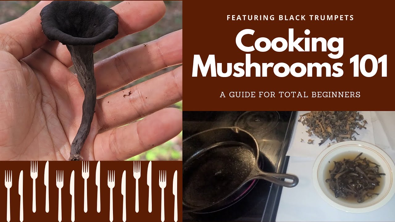 How to cook Black Trumpet Mushrooms and how I store them.