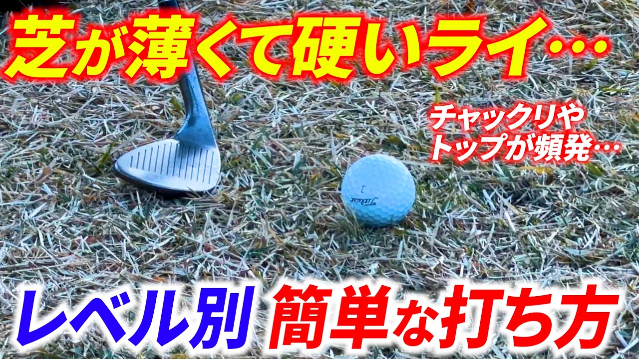 【アプローチ上達】芝が薄い・硬いライの打ち方をレベル別に解説【大叩き原因トップ級】【ゴルフ基礎】