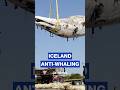 Iceland seizes anti-whaling protest vessel Bandero