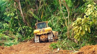 The Fastest Way To Break down Big Trees  The More Dozer Move The More Time You Save