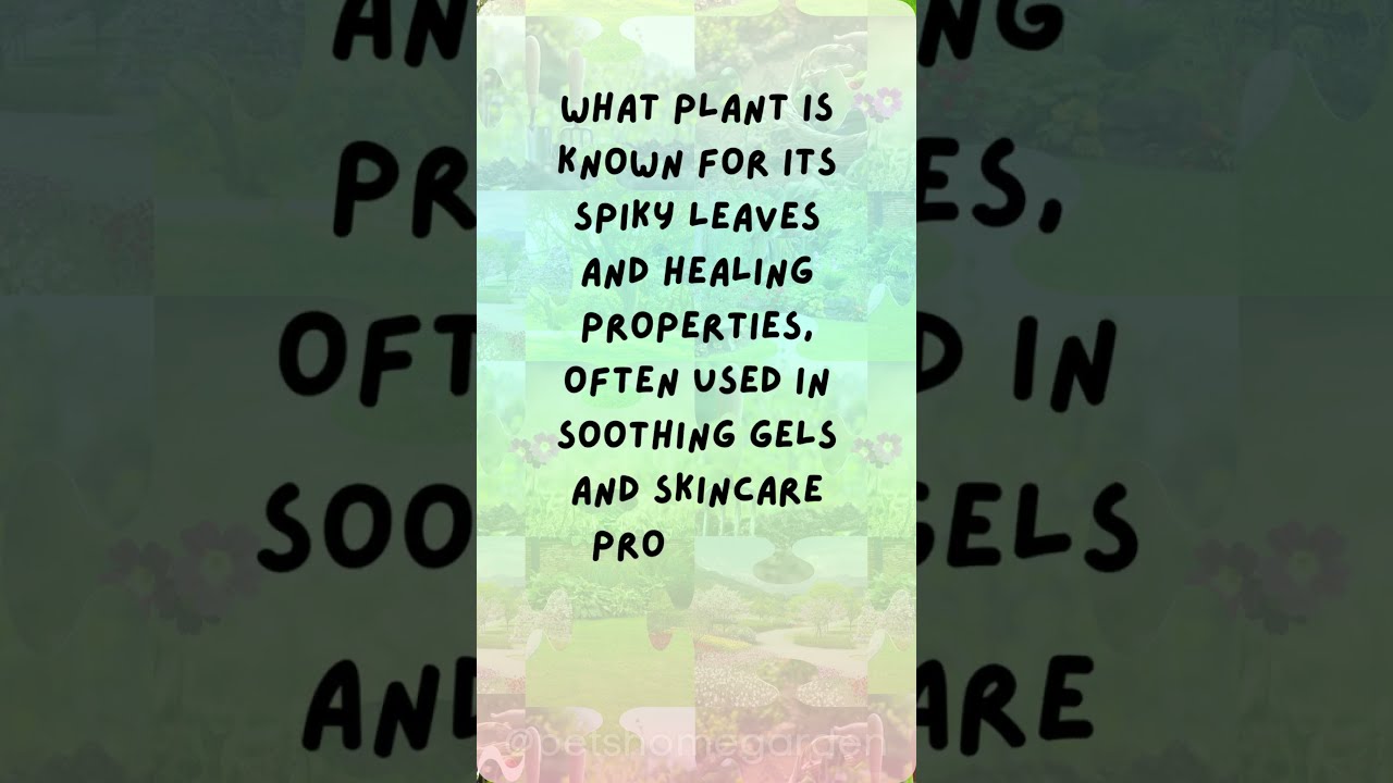 Garden Puzzle Challenge 17: Can You Identify This Plant | The Healing Wonder House Plant!