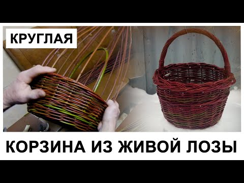 КРУГЛАЯ КОРЗИНА ИЗ ЖИВОЙ ЛОЗЫ/ROUND BASKET #лозоплетение