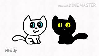 Yin&Yang Cat Fusion! (Time-Lapse Parody)