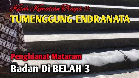 KISAH TUMENGGUNG ENDRANATA || PENGHIANAT MATARAM