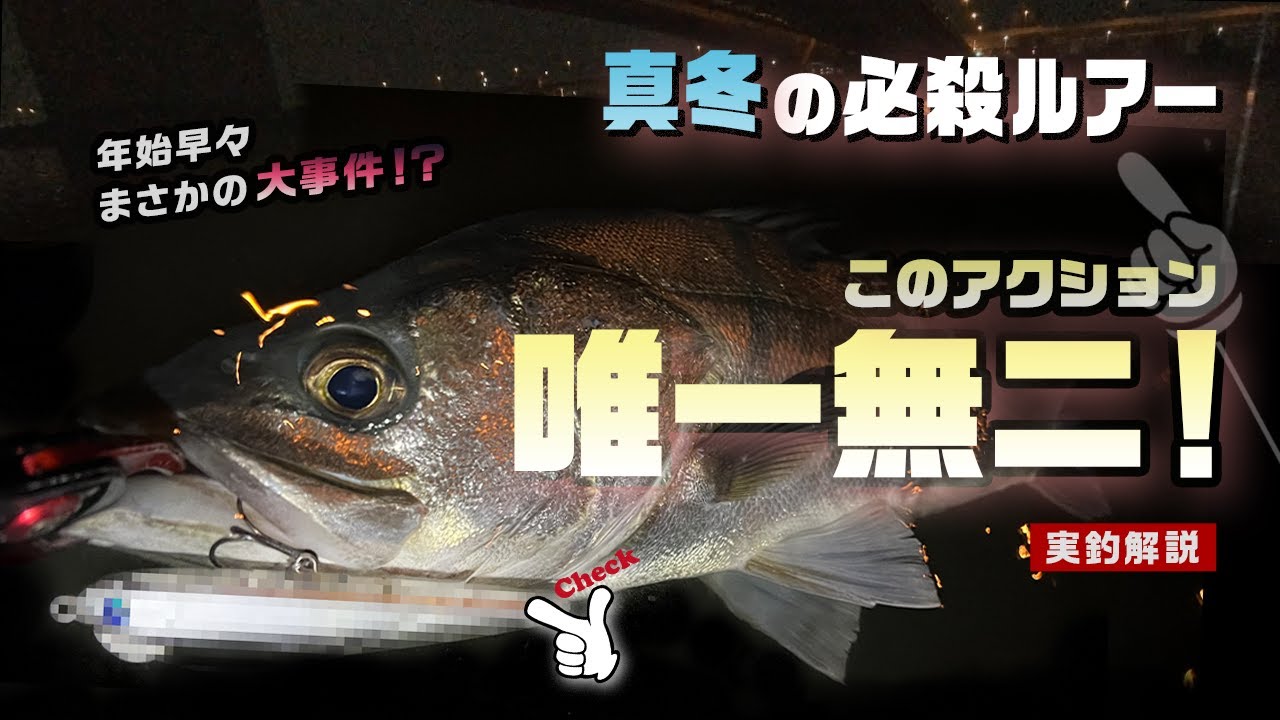 【シーバス】真冬の必殺ルアーはコレ！唯一無二の動きで大型連発｜スネコン実釣