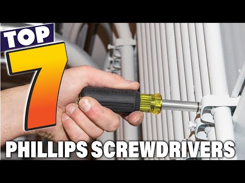 7 Best Phillips