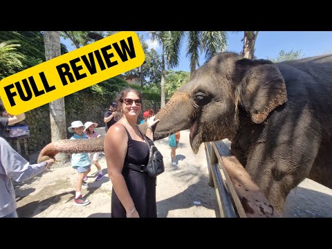 Is Bali Zoo Cruel