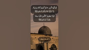 سورة الأنفال الآية ٢٠ الى ٢٣ بصوت الشيخ محمد صديق المنشاوي