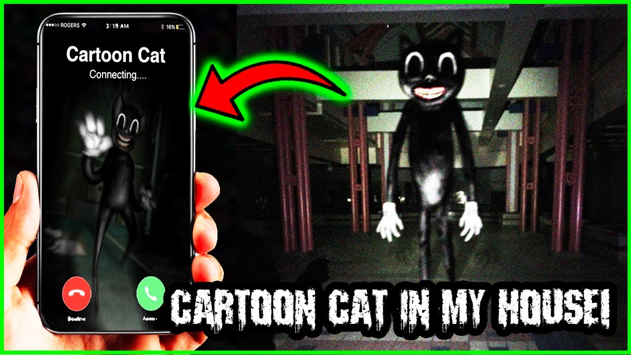 DONT GO TO THE BASEMENT OR CARTOON CAT WILL APPEAR! FACETIME CARTOON ...