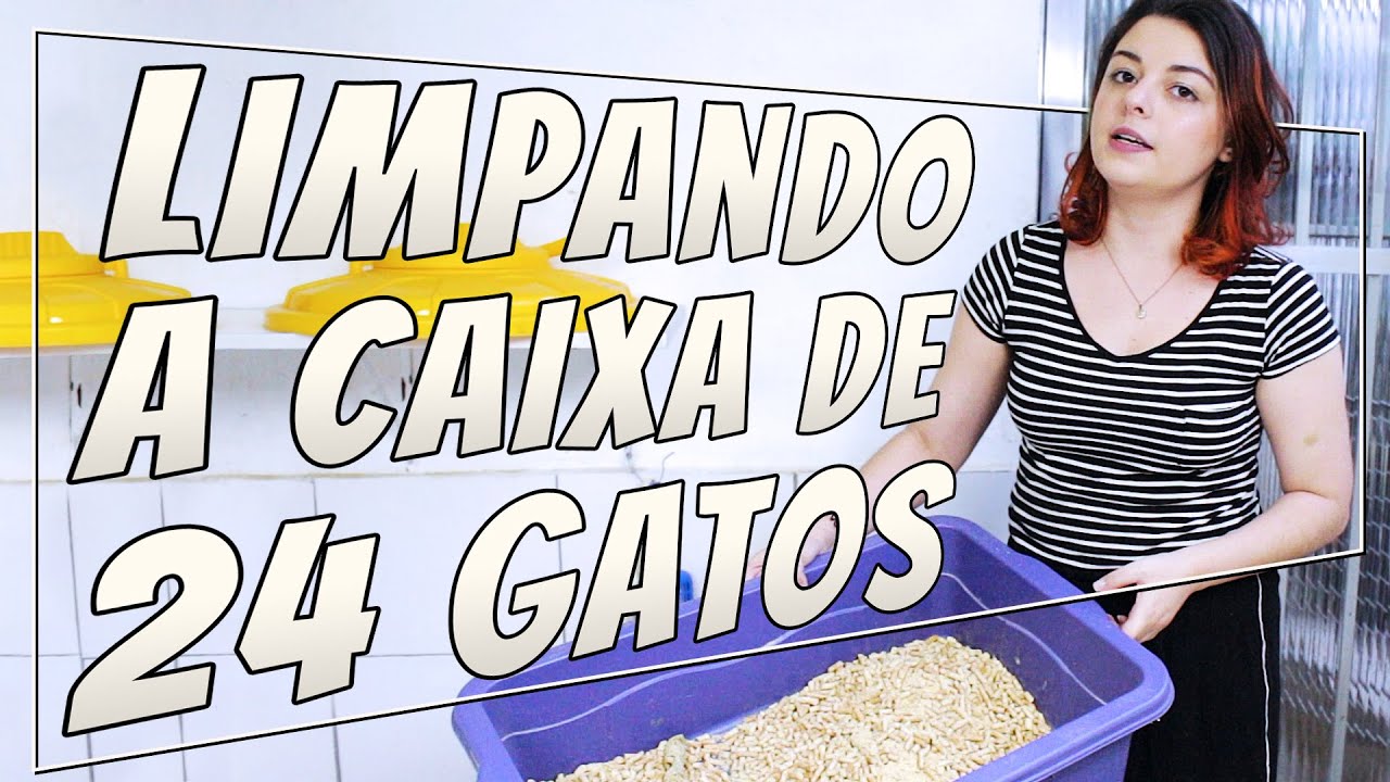 Limpando o Granulado de Madeira | CarePet