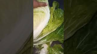 Eta Kar Kar Pochondo Comment Kore Bolo