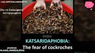Phobia انواع الخوف phobia  katsarida