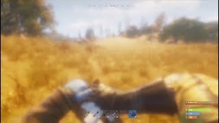 The Rust Console Experience