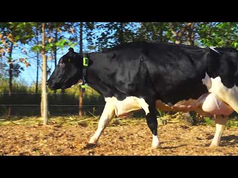 LOTE 04 2014