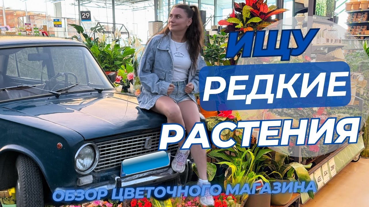 В поиске РЕДКИХ РАСТЕНИЙ! Обзор цветочного магазина.