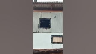 sp tarik bayangan revisi vs raja liur.