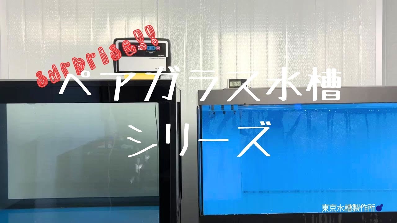 ペアガラス水槽とは – 活魚水槽、生け簀の製造販売メーカー｜東京水槽