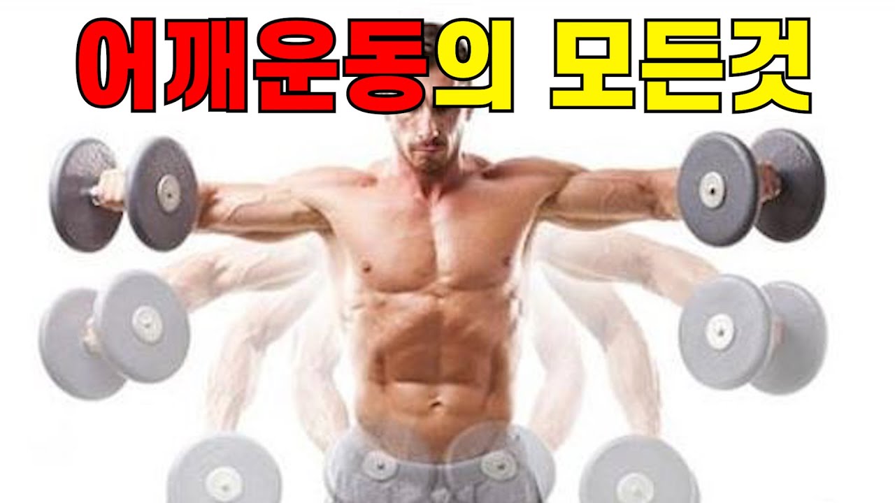 보디빌딩의 정석 #4(어깨)