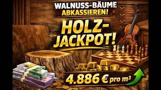 Walnussbaum Investment: Kein Ertrag mehr – und trotzdem steigender Gewinn!