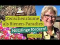 Bienen- und Schmetterlingsparadies schaffen: Insektenfreundliche Blumen in Zwischenräume säen!